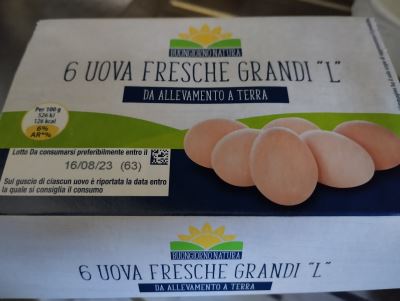 6 uova fresche Grandi "L"