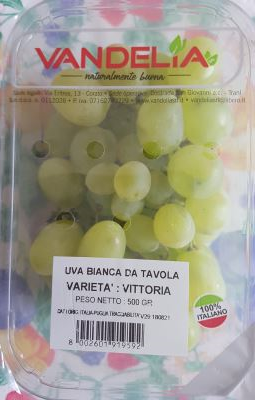 Uva bianca da tavola confezionata