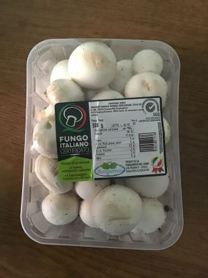 Champignon bianco