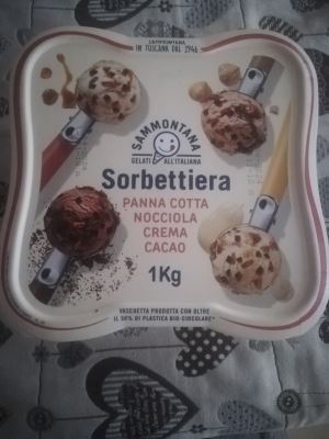 Sorbettiera panna cotta, nocciola, crema, cacao