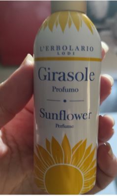 Girasole profumo