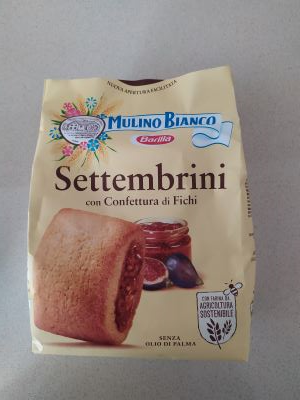 Settembrini