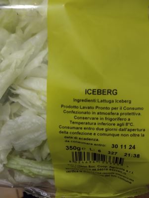 Iceberg 