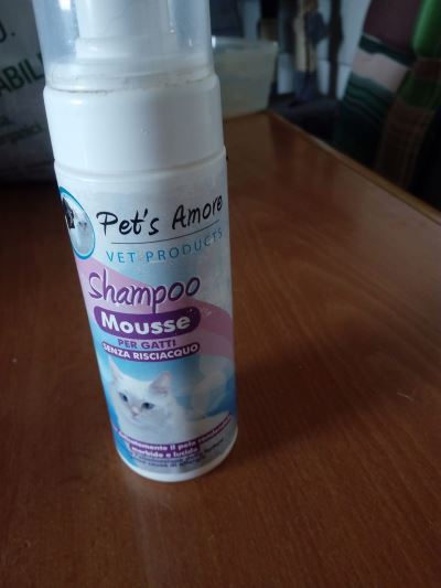 shampoo secco per gatti