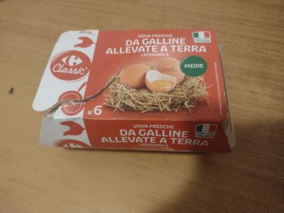 Carrefour Classic Uova Fresche da Galline Allevate a Terra