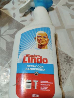 Spray con candeggina al profumo di eucalipto 