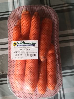 CAROTA CAT. 1