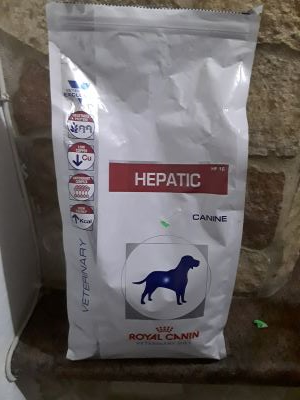 Hepatic canine