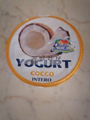 Yogurt intero al cocco 