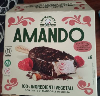 Stecco gelato vegetale Amando