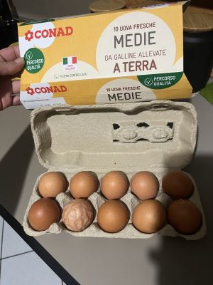 10 uova fresche medie allevate a terra
