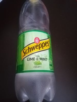 Schweppes lime & mint