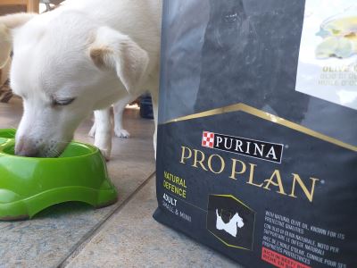 Purina Pro Plan Natural Defence Adult S&M