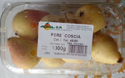 Pere varietà Coscia
