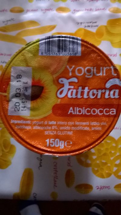yogurt Fattoria 