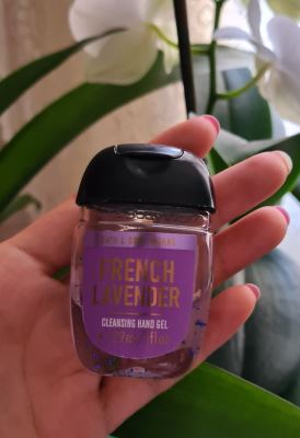 French Lavender 