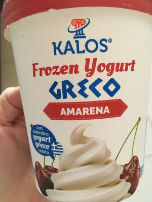 Frozen yogurt 