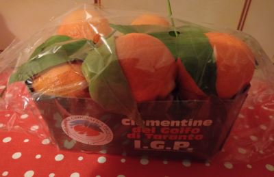 Clementine del Golfo tarantino 