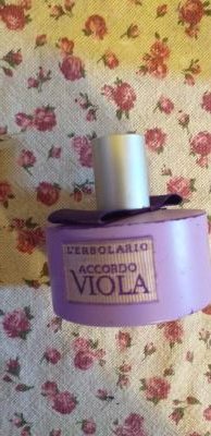 Accodo Viola