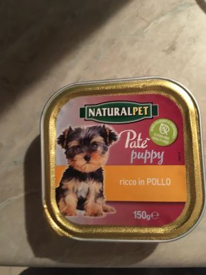 Paté puppy