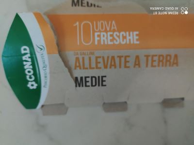 10 Uova fresche medie