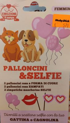 Palloncini & selfie per feste cani e gatti femminucce