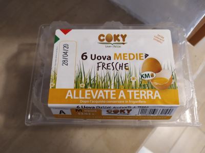 Uova medie fresche