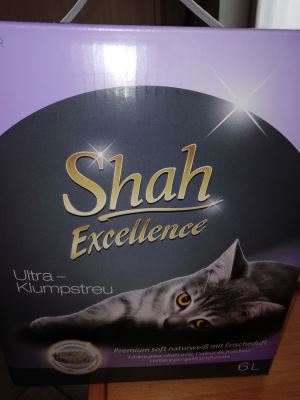 Shah excellence