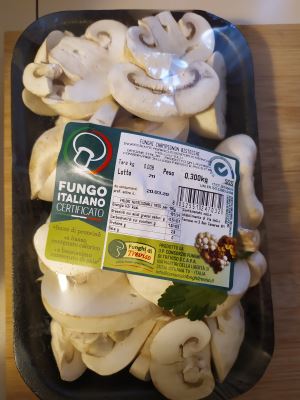 Funghi Champignon 