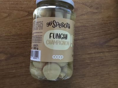 Funghi champignon