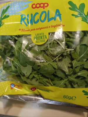 Rucola 