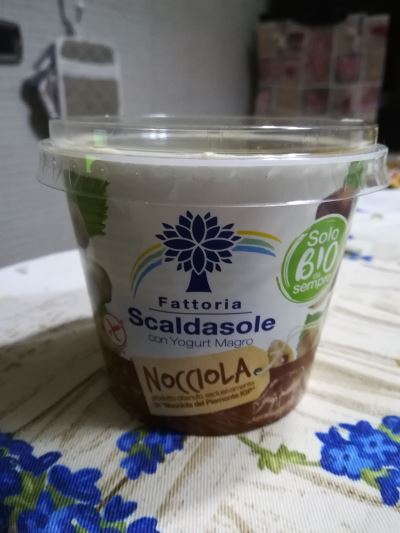 Yogurt magro