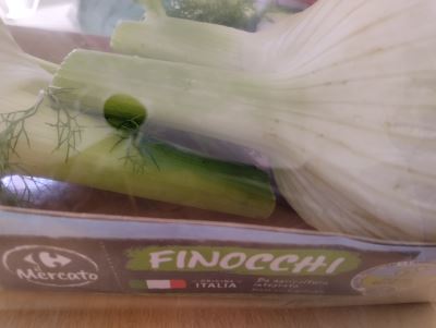 Finocchi