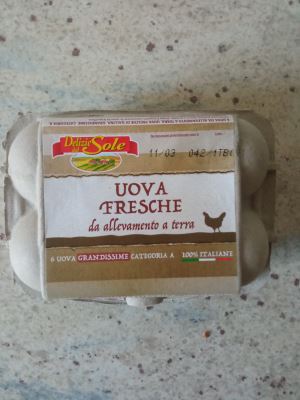 Uova fresche