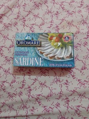 Sardine