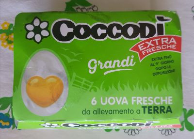 6 uova Coccodi