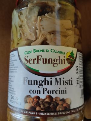 Funghi misti con porcini