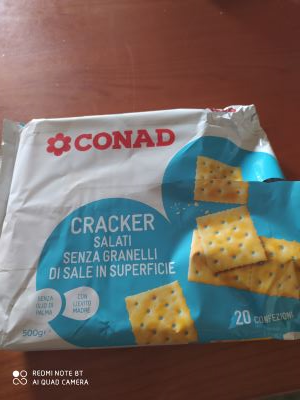 CRACKERS SALATI SENZA GRANELLI DI SALE IN SUPERFICIE in dettaglio