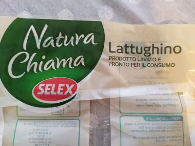 Lattughino