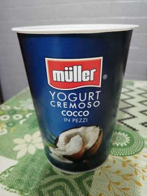 Yogurt cremoso cocco in pezzi