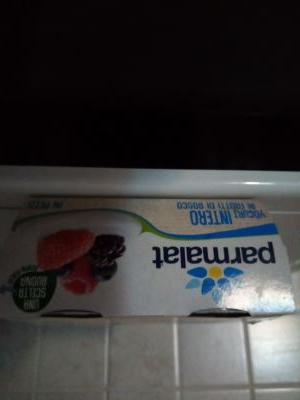 Yogurt intero ai frutti di bosco