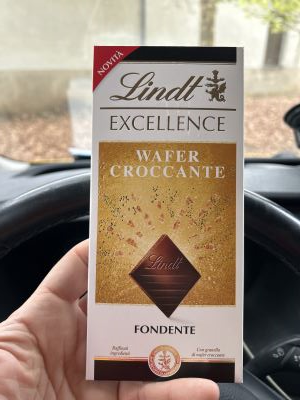 Lindt excellence