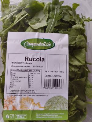 Rucola