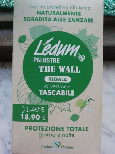 Ledum Palustre